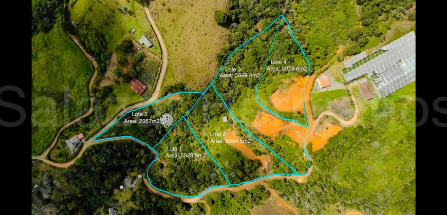 Lotes en Venta Aguaclara Verda La Honda, Guarne – Antioquia Lotes en Venta Aguaclara Verda La Honda, Guarne – Antioquia