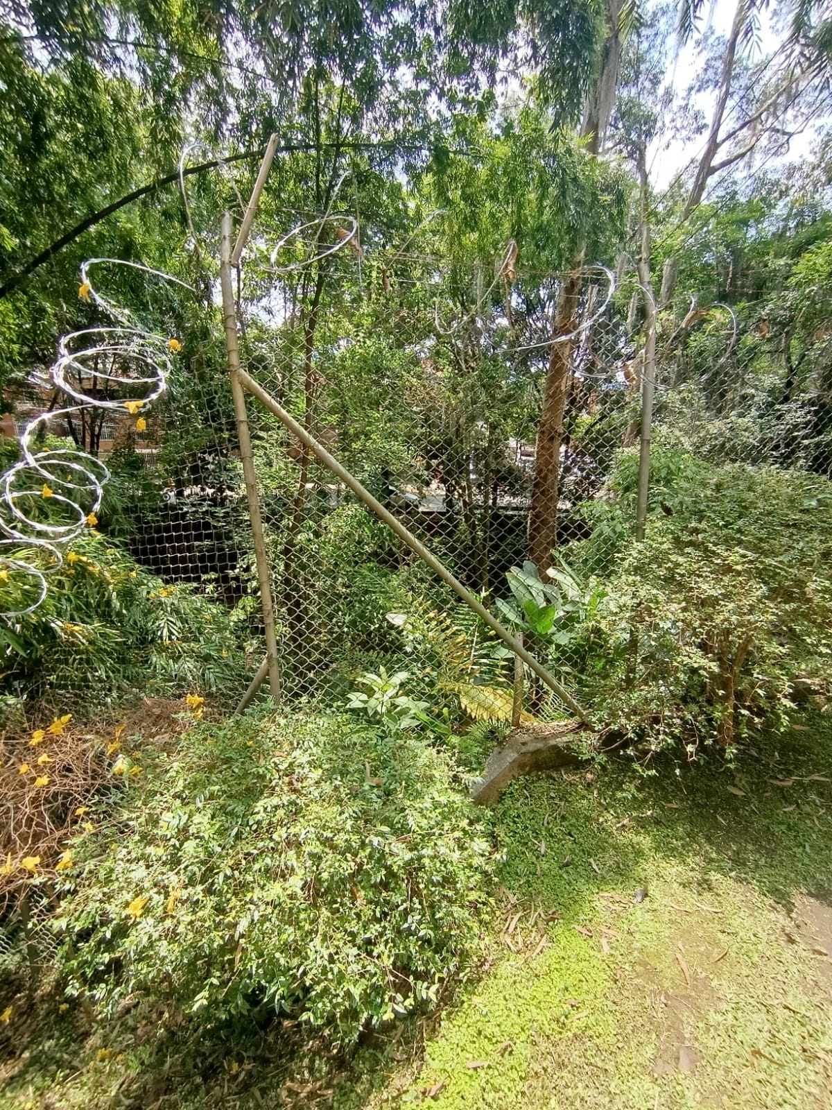 Apartamento en Arriendo 70 m² Arboleda de las Brujas Envigado – Antioquia
