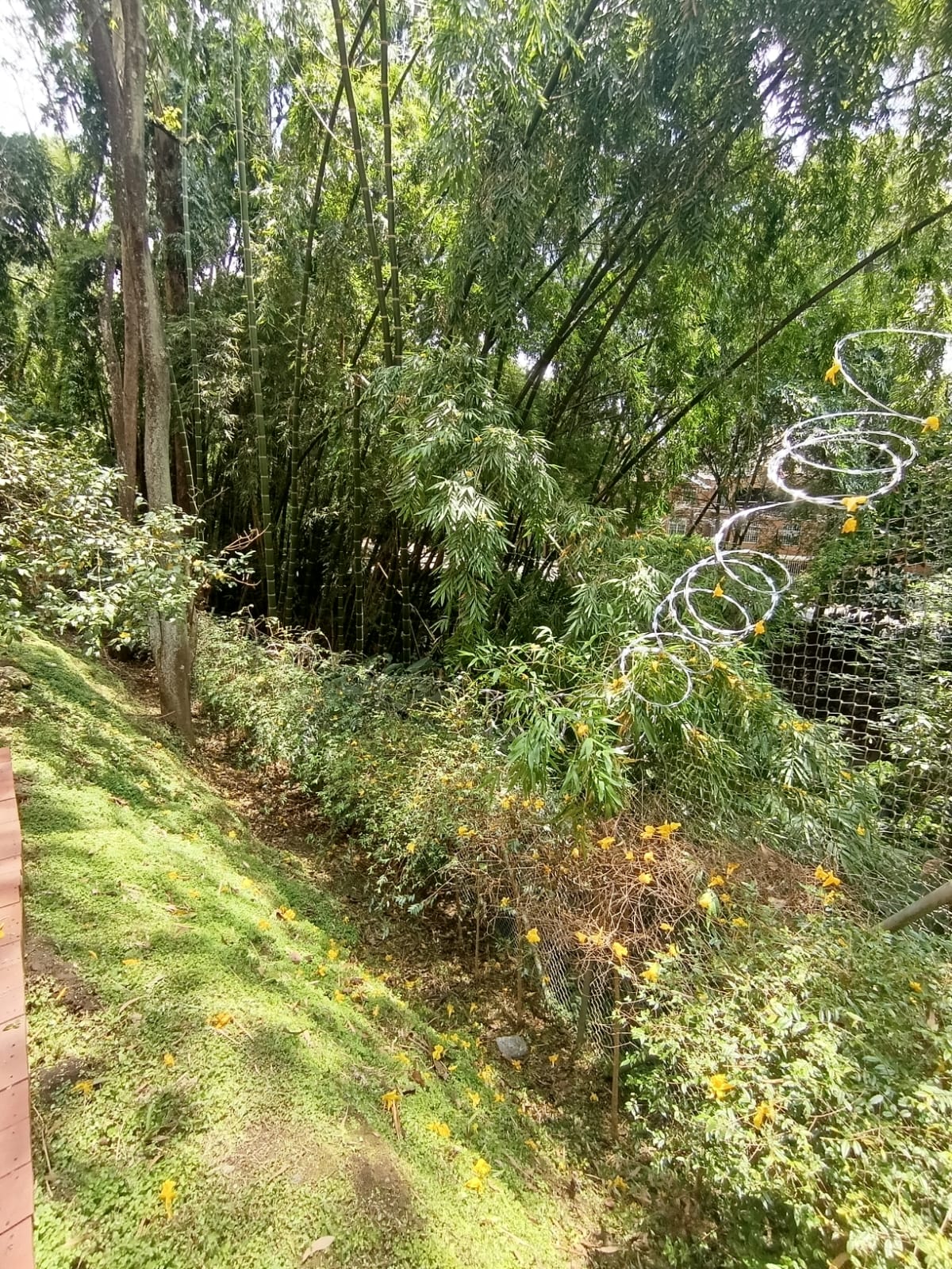 Apartamento en Arriendo 70 m² Arboleda de las Brujas Envigado – Antioquia